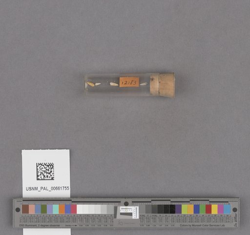NSF ADBC EPICC TCN
