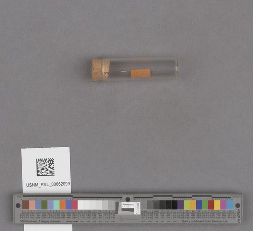 NSF ADBC EPICC TCN