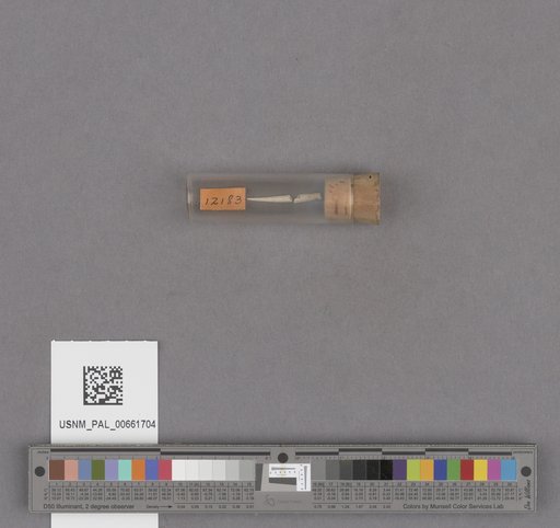 NSF ADBC EPICC TCN