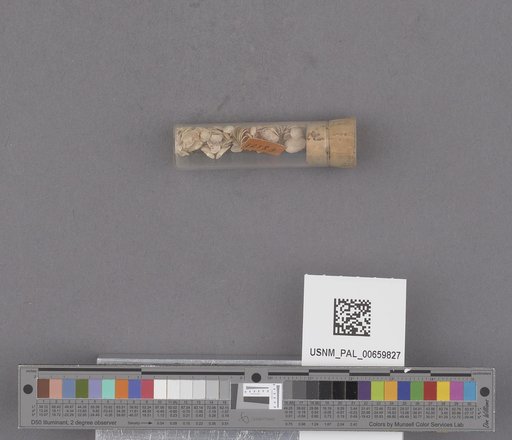 NSF ADBC EPICC TCN