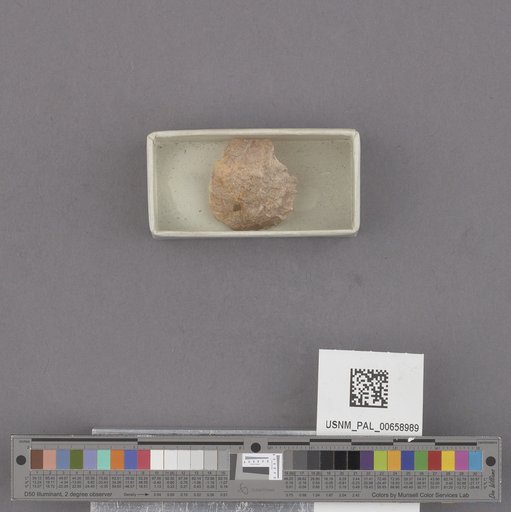 NSF ADBC EPICC TCN