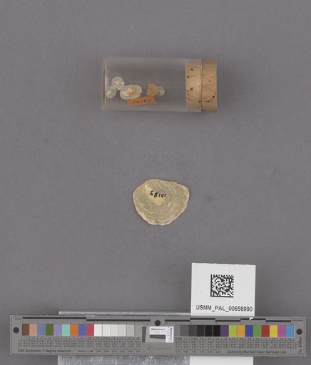 NSF ADBC EPICC TCN
