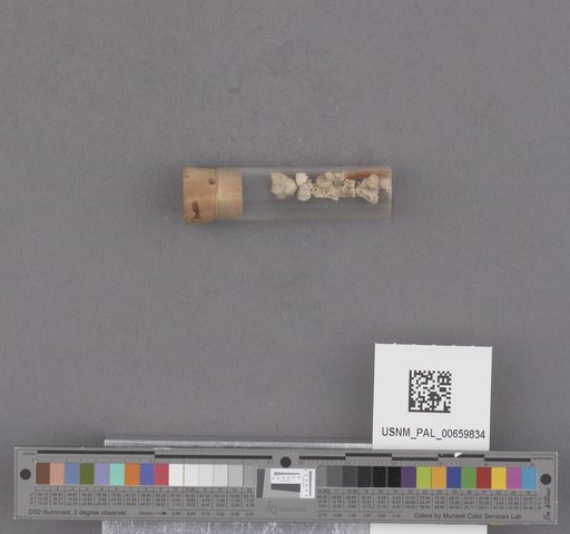 NSF ADBC EPICC TCN