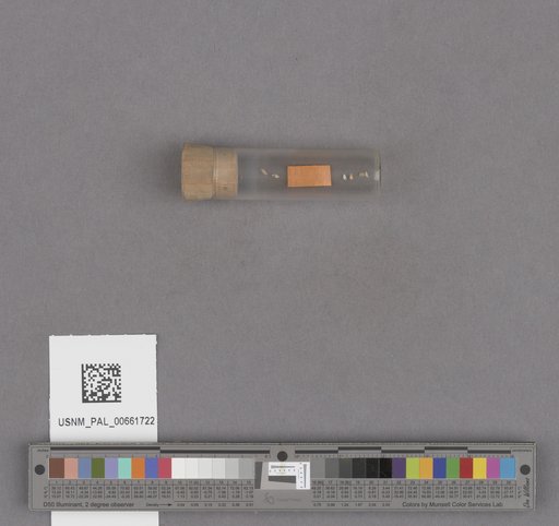 NSF ADBC EPICC TCN