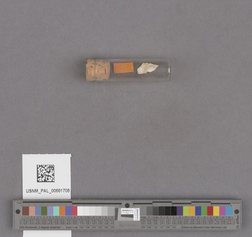 NSF ADBC EPICC TCN