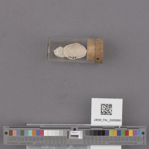 NSF ADBC EPICC TCN