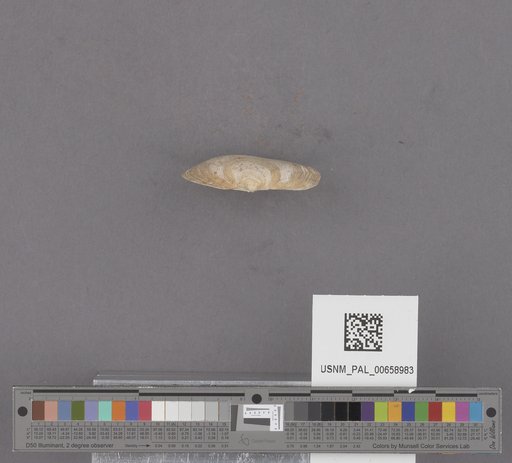 NSF ADBC EPICC TCN