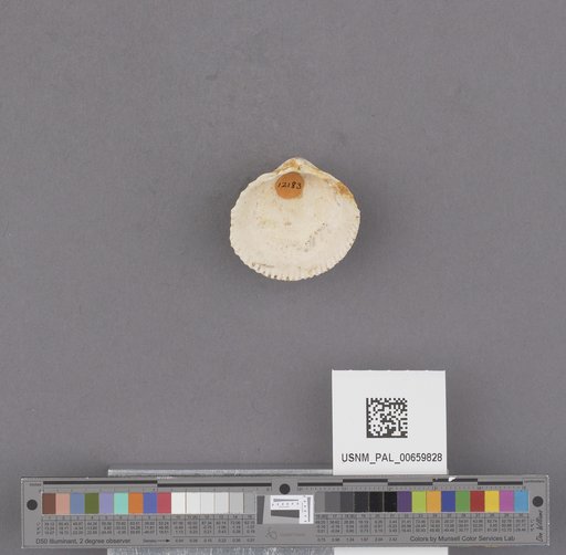 NSF ADBC EPICC TCN