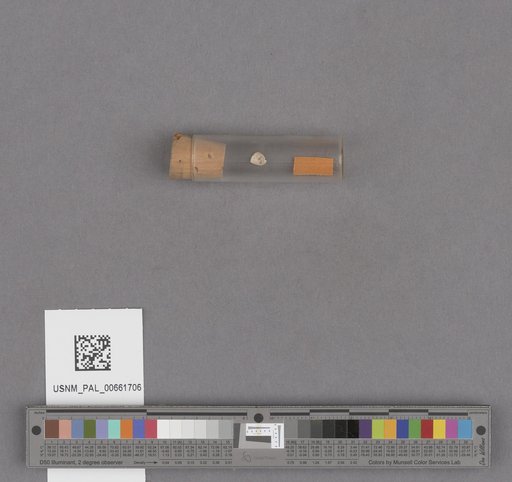 NSF ADBC EPICC TCN