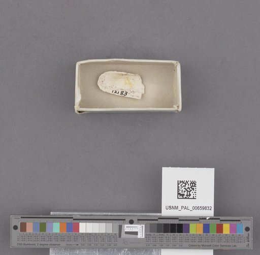 NSF ADBC EPICC TCN
