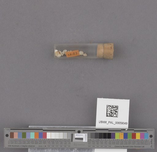 NSF ADBC EPICC TCN