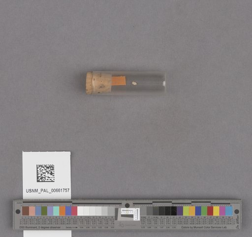 NSF ADBC EPICC TCN