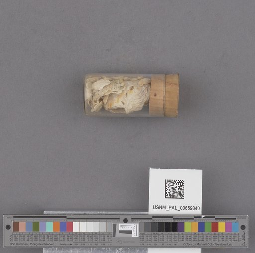 NSF ADBC EPICC TCN