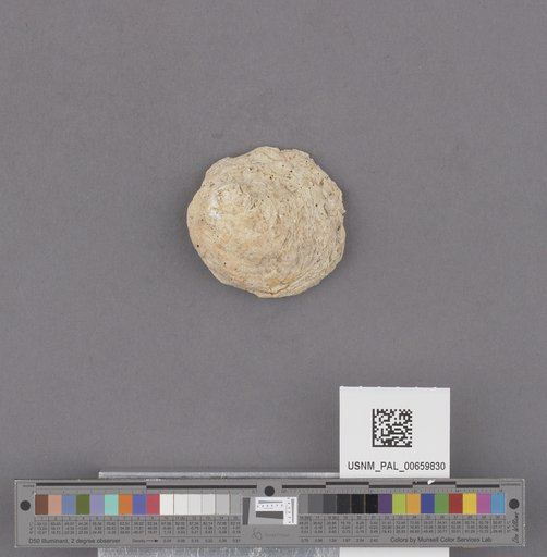 NSF ADBC EPICC TCN