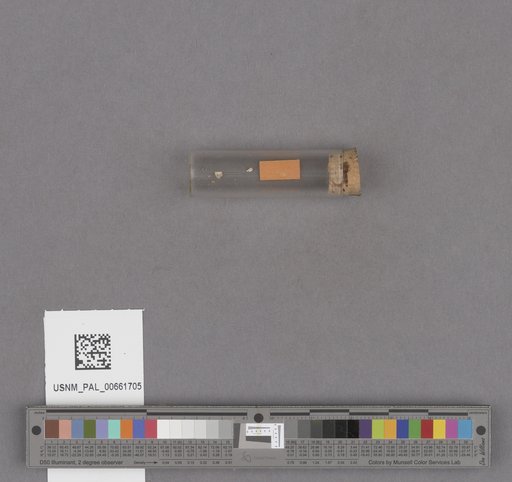 NSF ADBC EPICC TCN