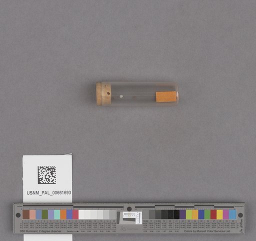 NSF ADBC EPICC TCN