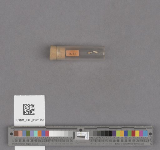 NSF ADBC EPICC TCN