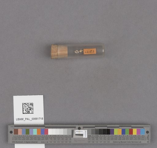 NSF ADBC EPICC TCN