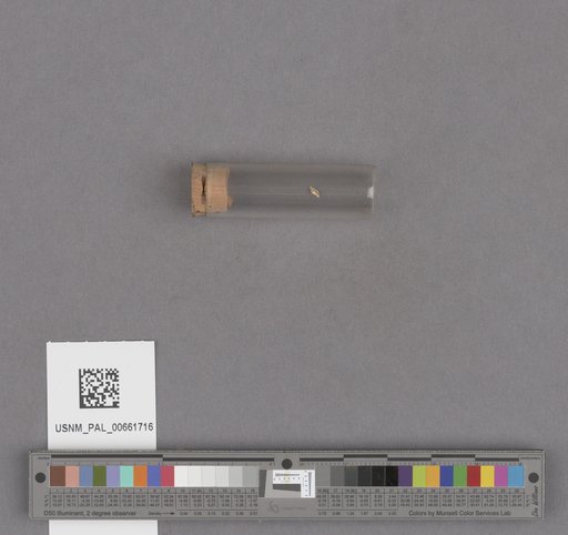 NSF ADBC EPICC TCN