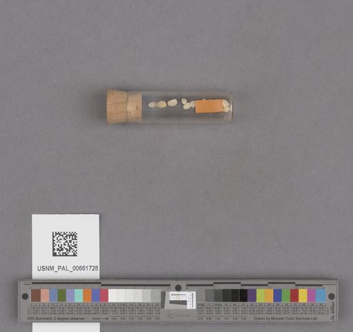 NSF ADBC EPICC TCN