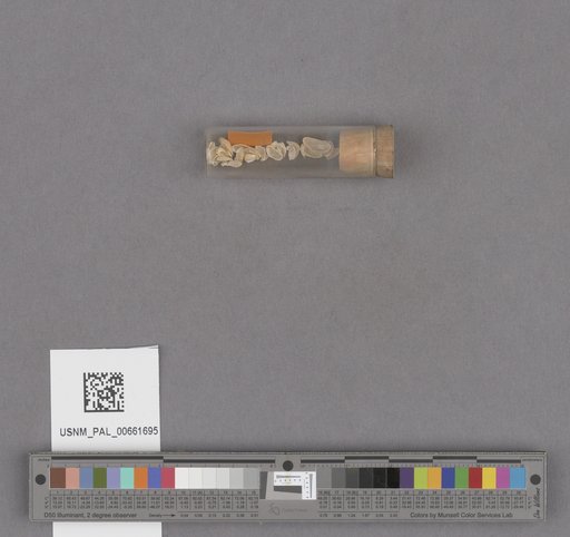NSF ADBC EPICC TCN