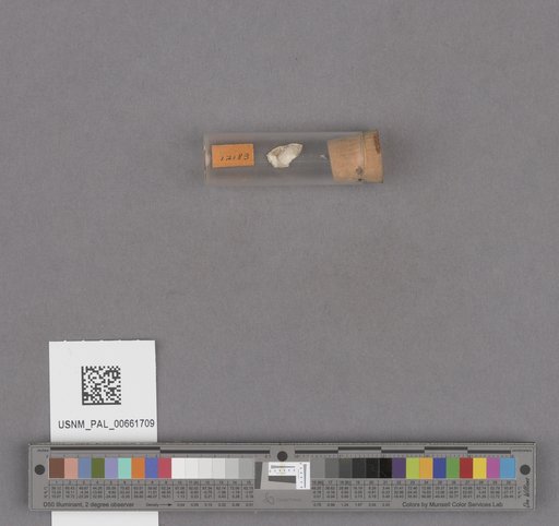 NSF ADBC EPICC TCN