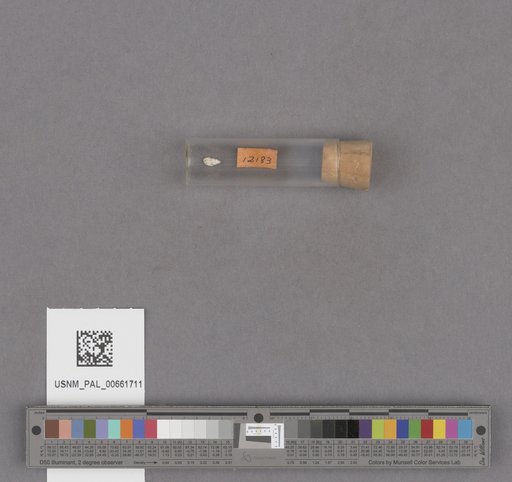 NSF ADBC EPICC TCN