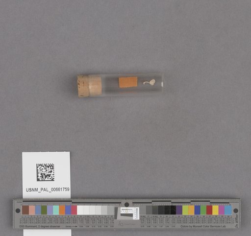 NSF ADBC EPICC TCN