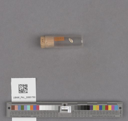 NSF ADBC EPICC TCN