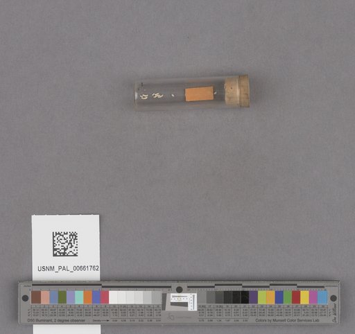 NSF ADBC EPICC TCN