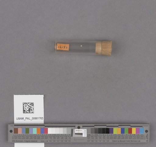 NSF ADBC EPICC TCN