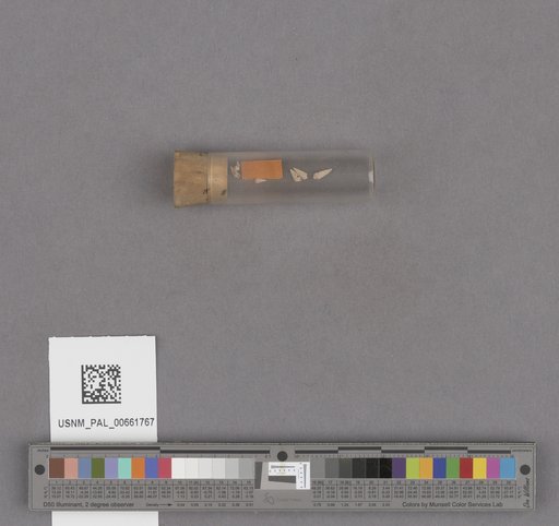 NSF ADBC EPICC TCN