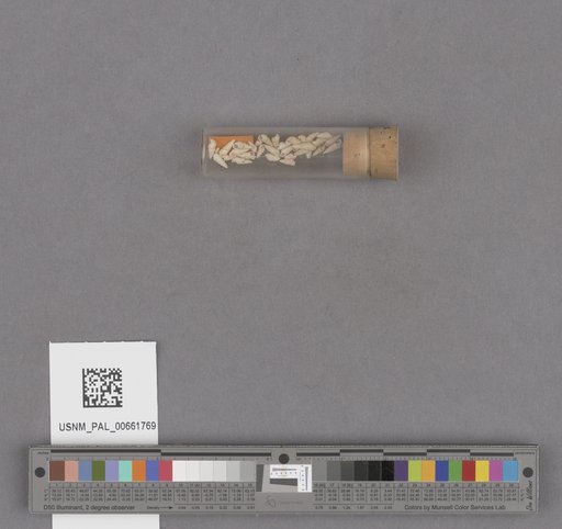 NSF ADBC EPICC TCN