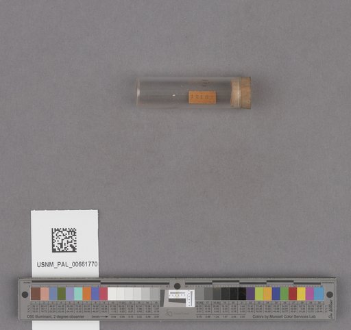 NSF ADBC EPICC TCN
