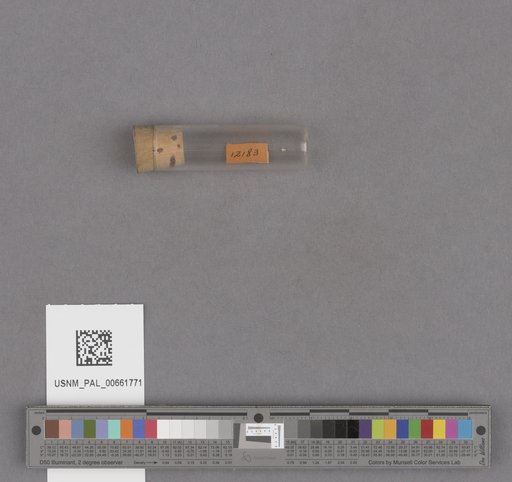 NSF ADBC EPICC TCN