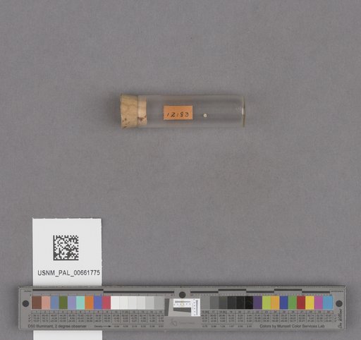 NSF ADBC EPICC TCN