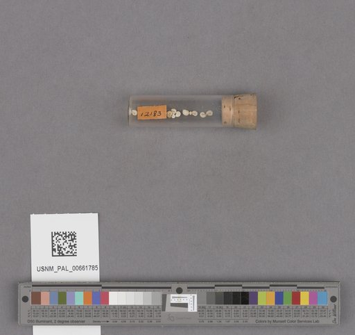 NSF ADBC EPICC TCN