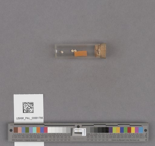NSF ADBC EPICC TCN