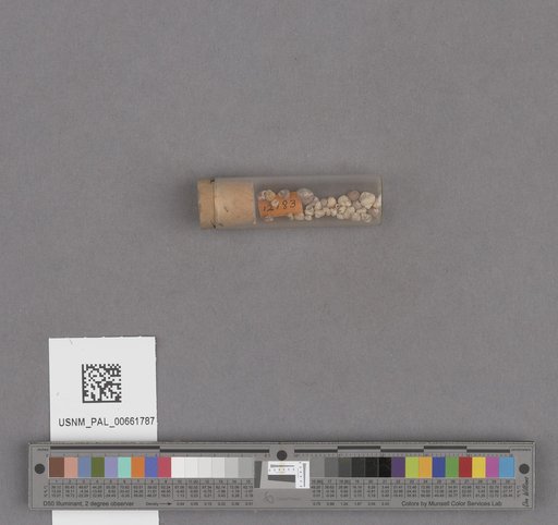 NSF ADBC EPICC TCN