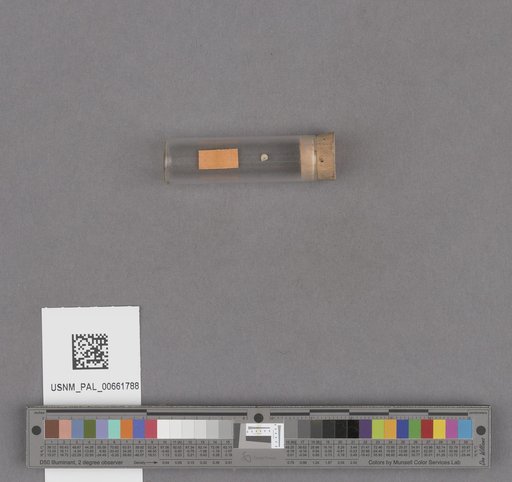 NSF ADBC EPICC TCN