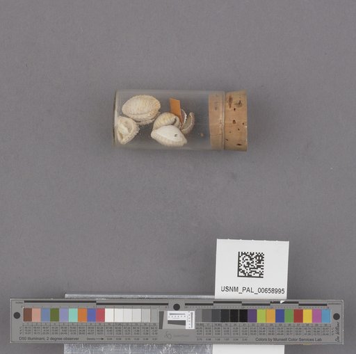 NSF ADBC EPICC TCN