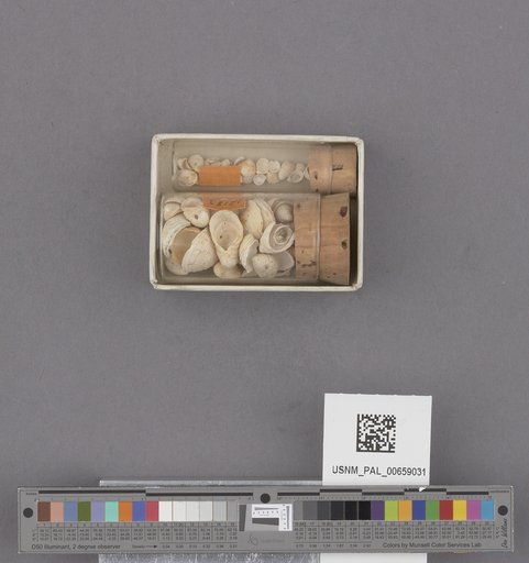 NSF ADBC EPICC TCN