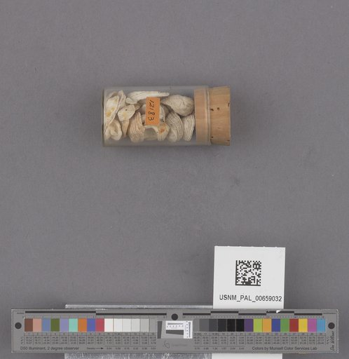 NSF ADBC EPICC TCN