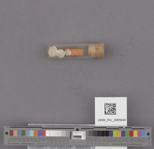 NSF ADBC EPICC TCN