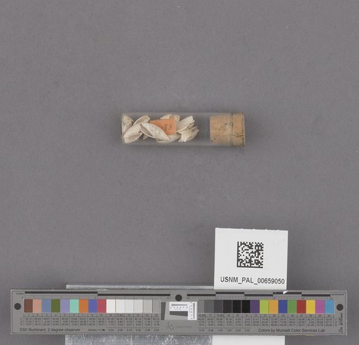 NSF ADBC EPICC TCN