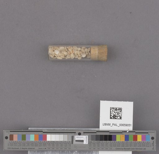 NSF ADBC EPICC TCN