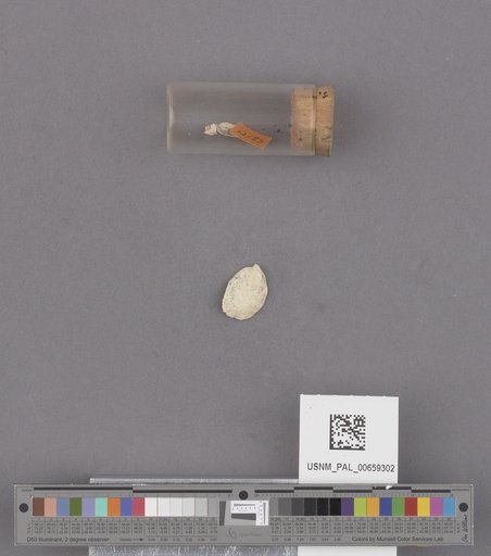 NSF ADBC EPICC TCN