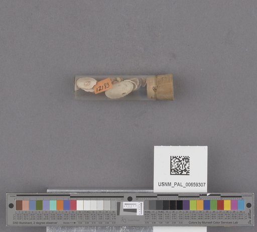 NSF ADBC EPICC TCN