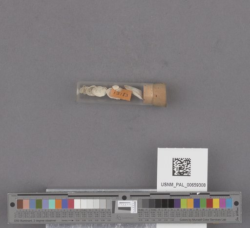 NSF ADBC EPICC TCN