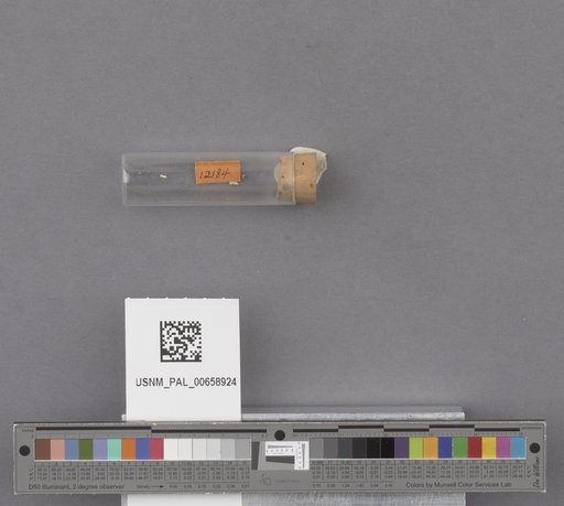 NSF ADBC EPICC TCN